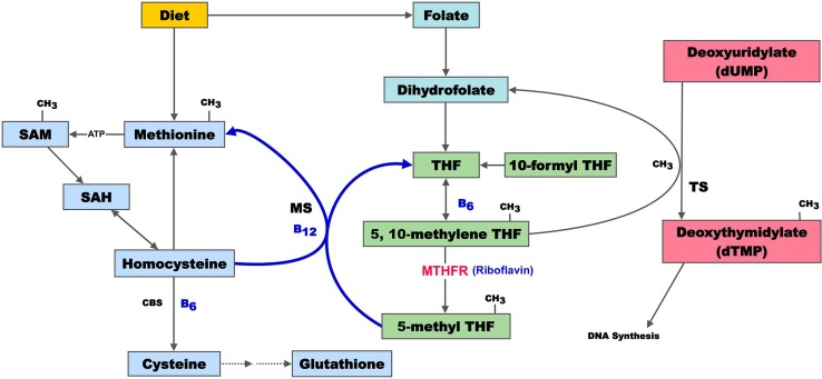 Fig. 2