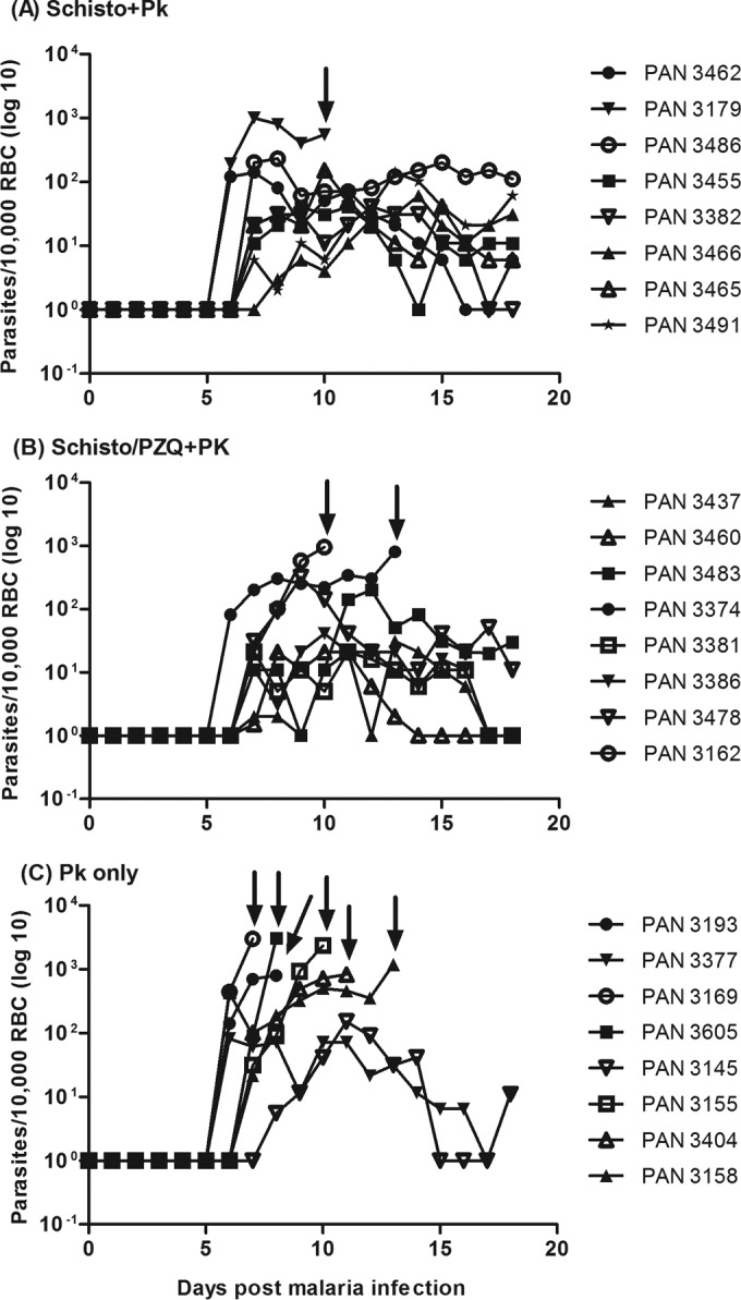 FIG 4