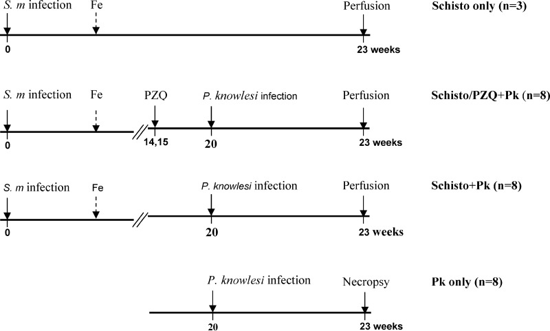 FIG 1