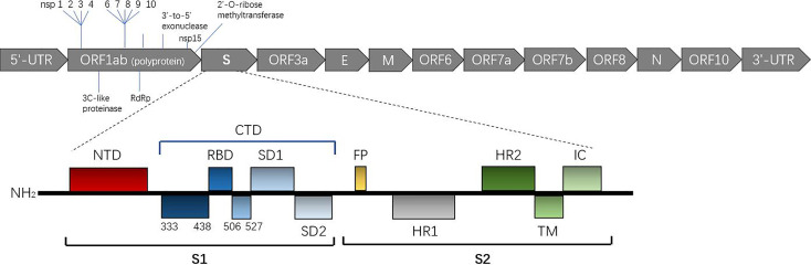 Figure 1