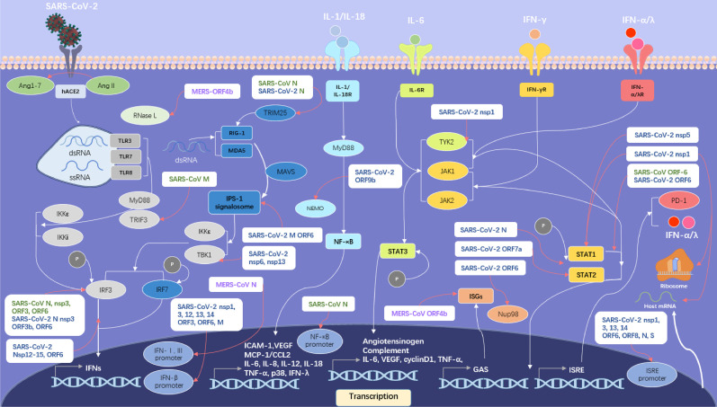 Figure 4