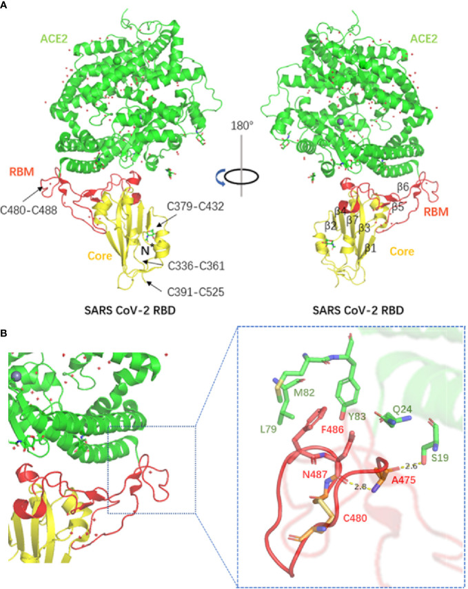 Figure 3