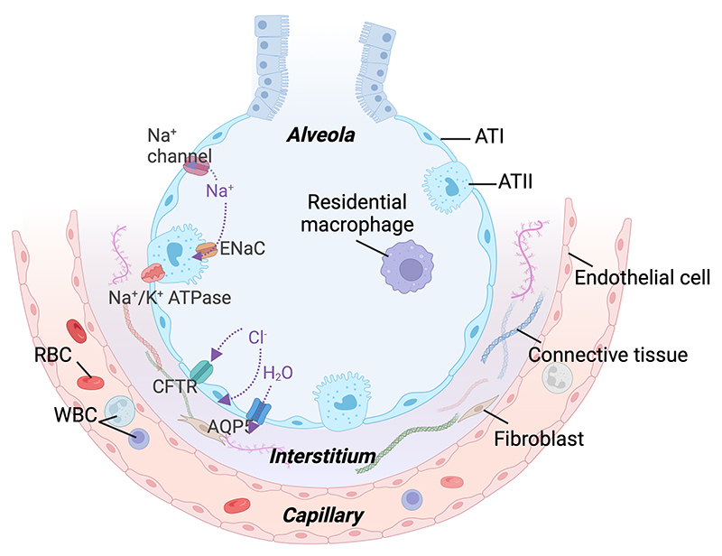 Figure 2.