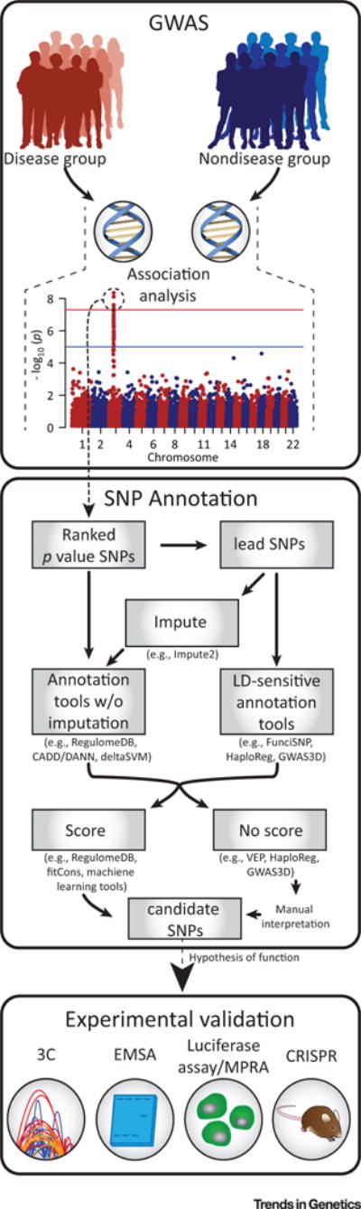 Figure 2. Key Figure