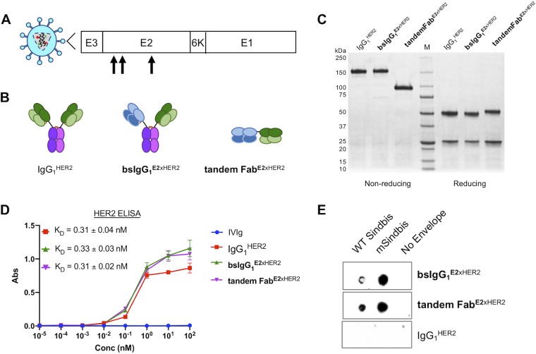 FIG 4