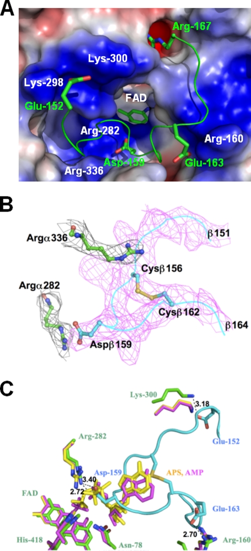 FIG. 6.