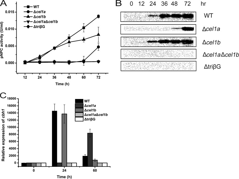 FIG 2