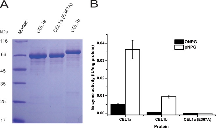 FIG 6