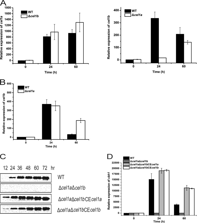 FIG 3