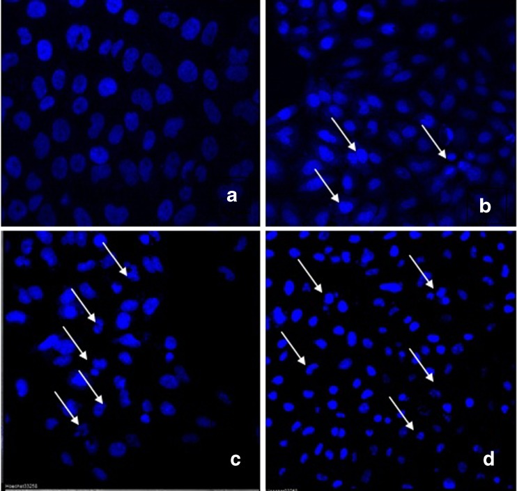 Fig. 10