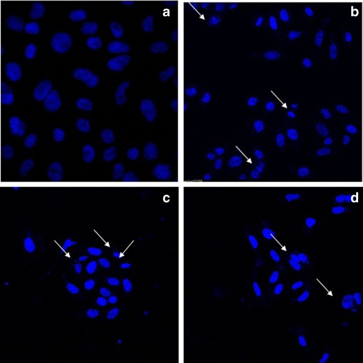 Fig. 9