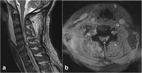 Fig. 8