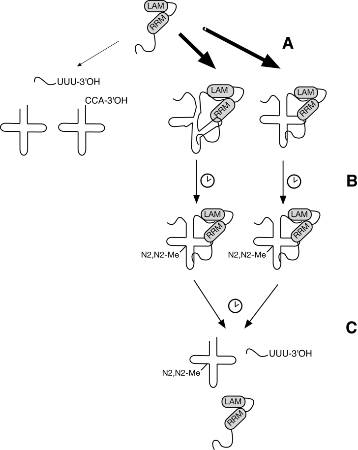 Figure 7.