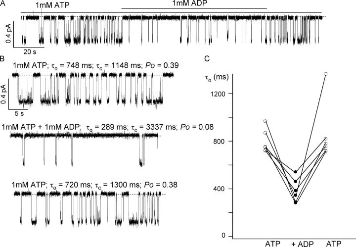 Figure 9. 