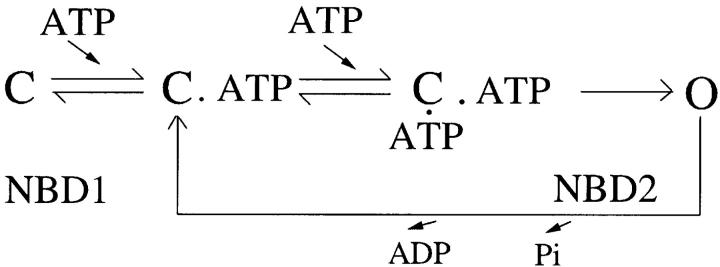 (SCHEME 2)