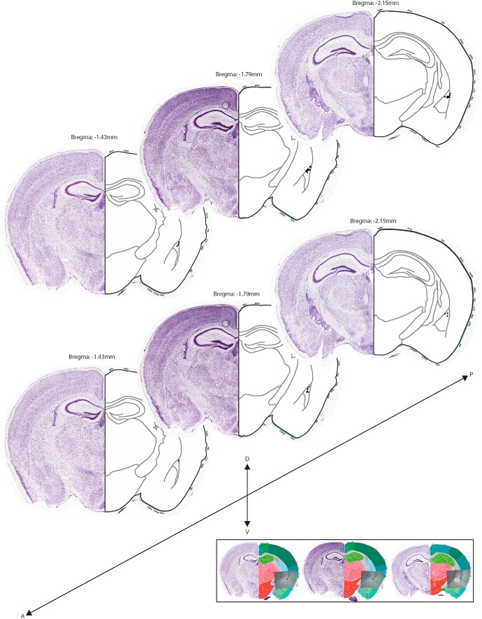 Figure 7.