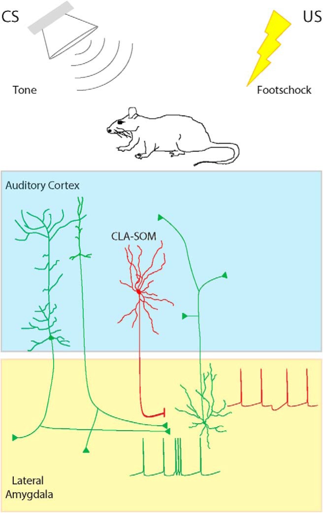 Figure 10.