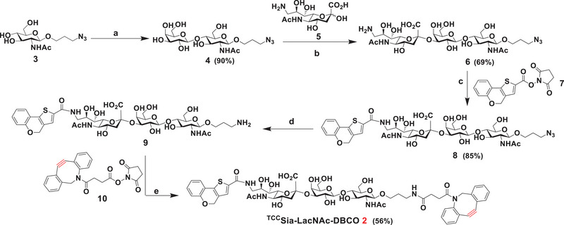 Scheme 2