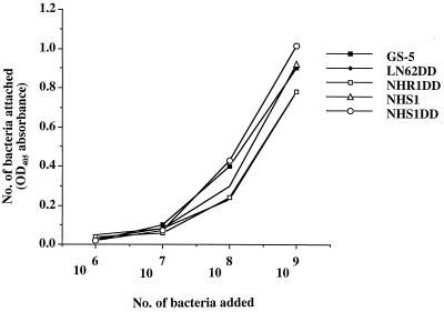 FIG. 3