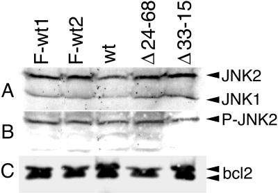 FIG. 7