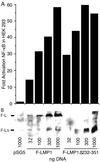 FIG. 5