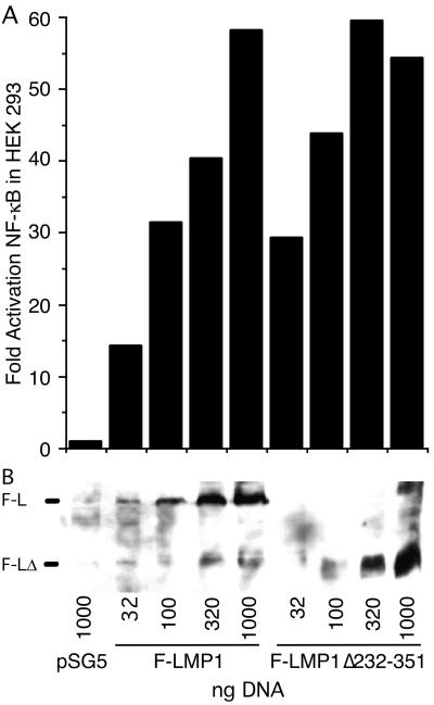 FIG. 5