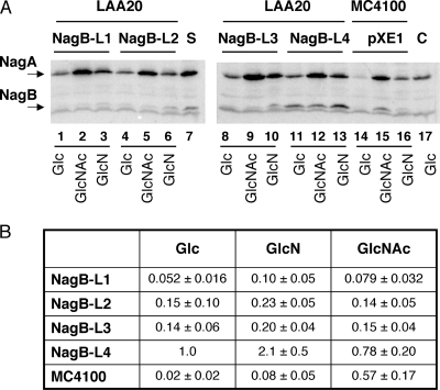 FIG. 2.