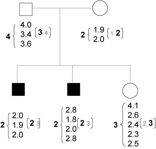 Figure  2. 