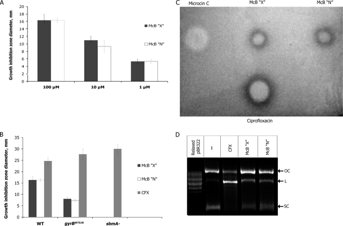 FIGURE 6.