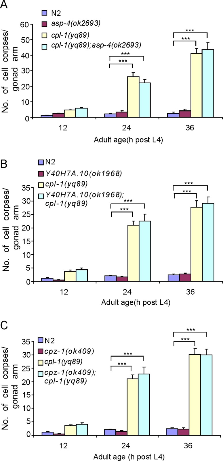 FIGURE 6: