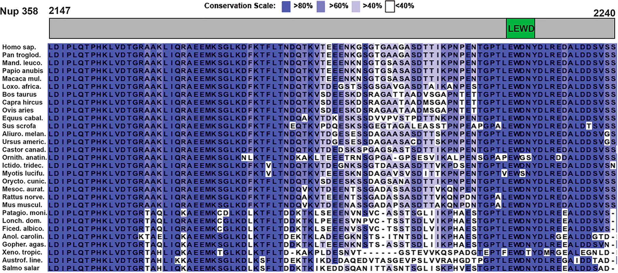 Figure 2.