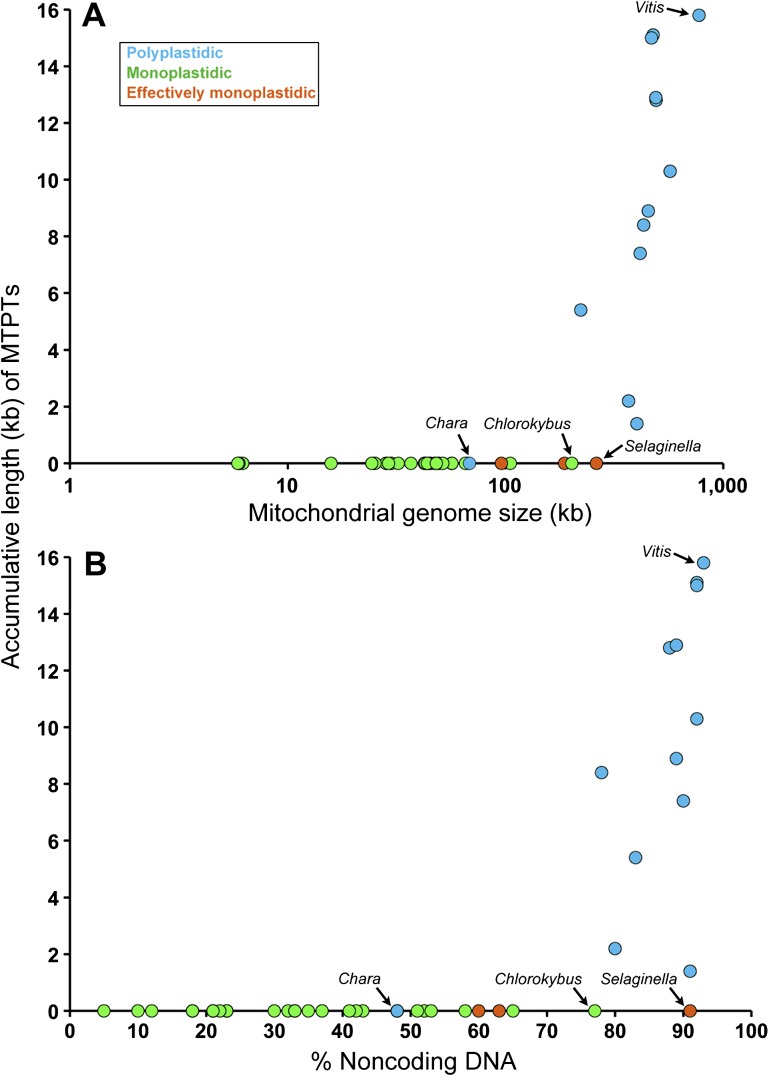 FIG. 2.—