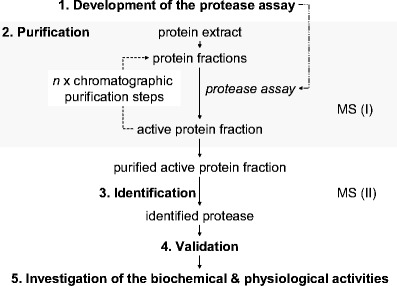 Fig. 3