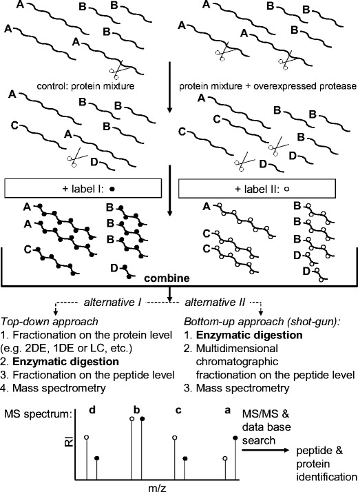 Fig. 4