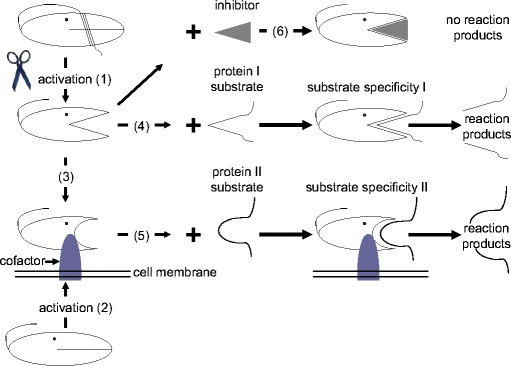 Fig. 2