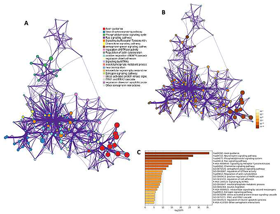 Fig. 4: