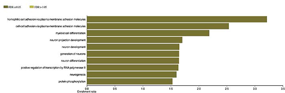 Fig. 3: