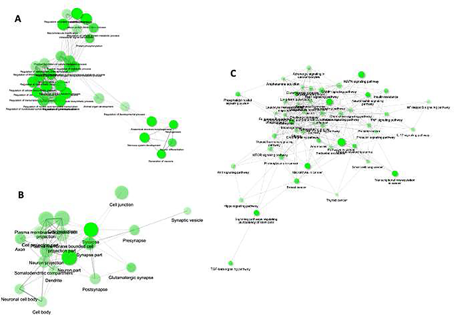 Fig. 2: