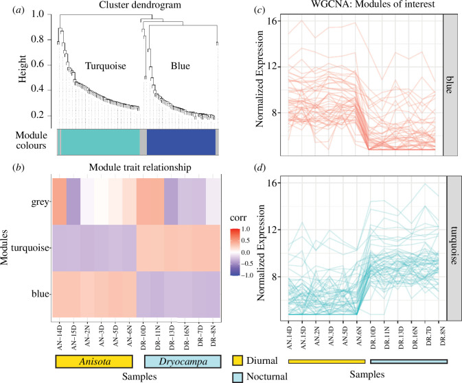 Modules of clustered co-expressed genes grouped using normalized expression.