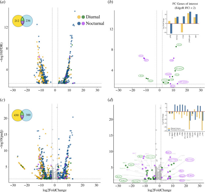 Nocturnal and diurnal species show divergent patterns of gene expression with different analytical approaches.