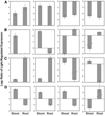 Figure 11.