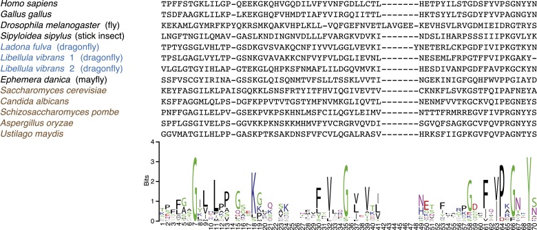 Figure 2—figure supplement 1.