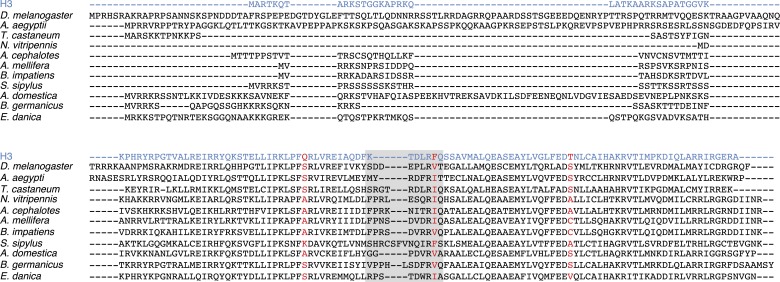 Figure 1—figure supplement 2.