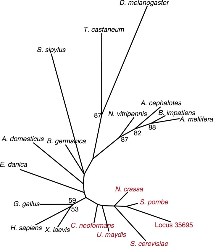 Figure 1—figure supplement 4.