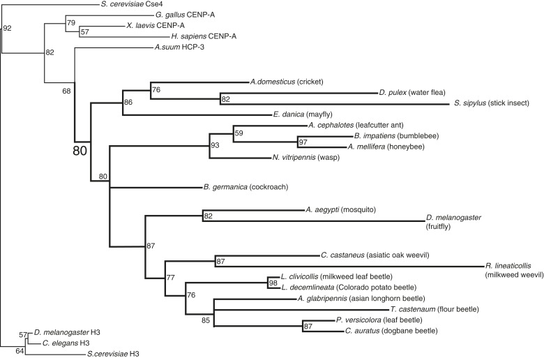 Figure 1—figure supplement 6.