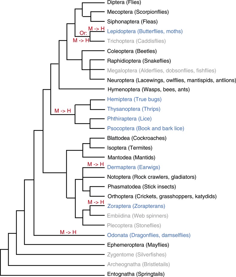 Figure 1—figure supplement 1.