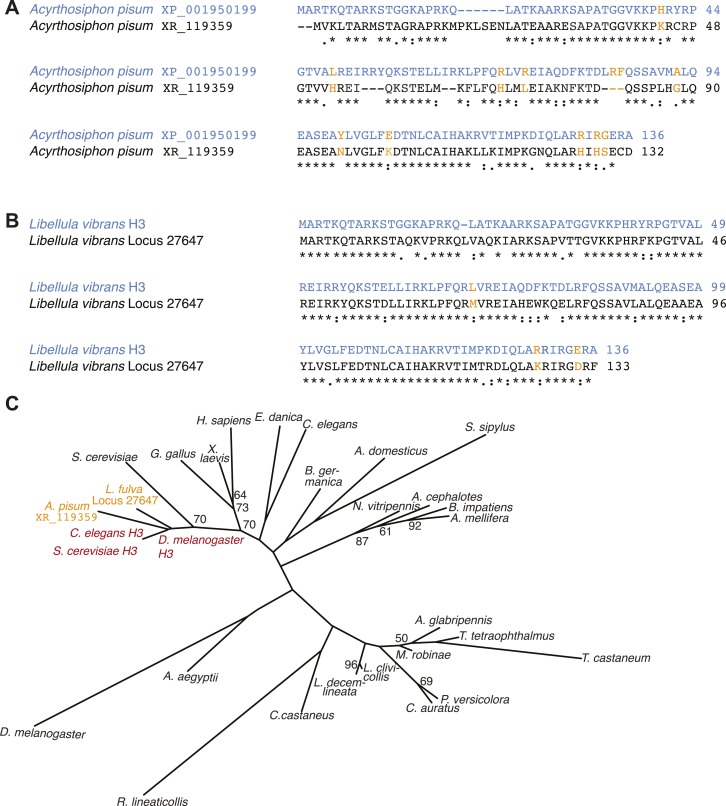 Figure 1—figure supplement 3.