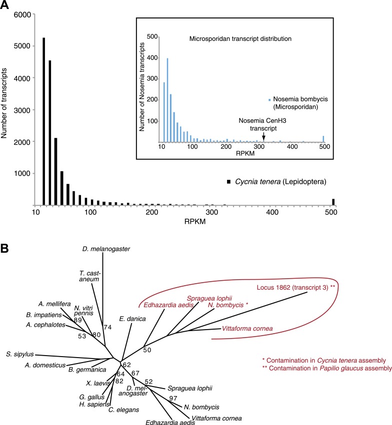 Figure 1—figure supplement 8.