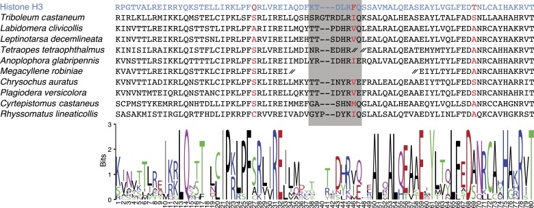 Figure 1—figure supplement 7.