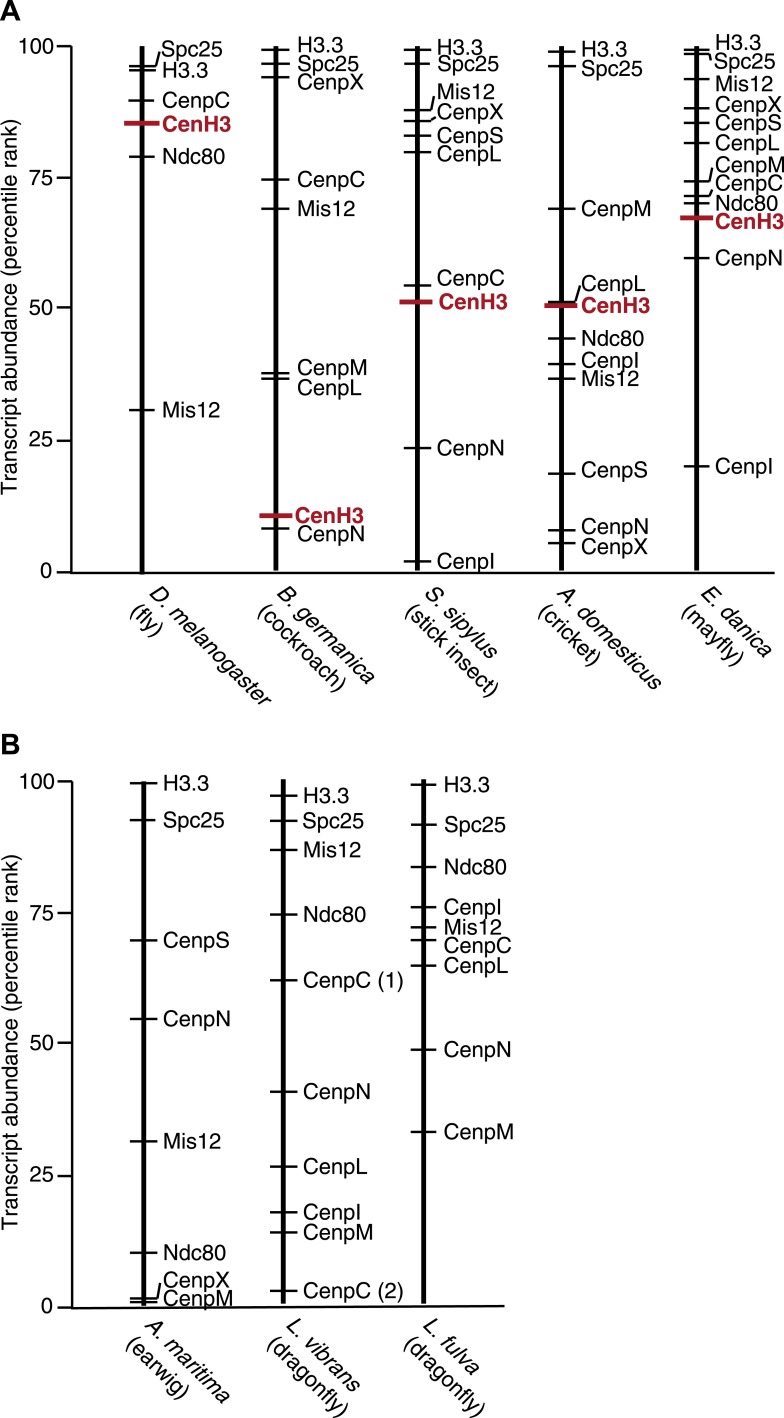 Figure 1—figure supplement 5.